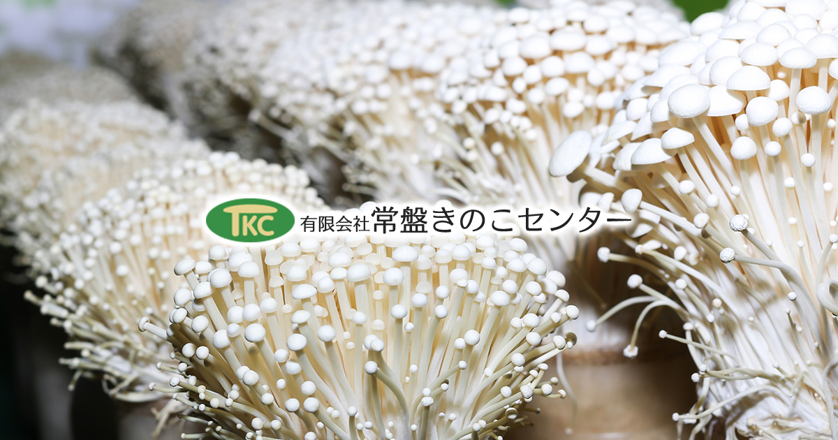 有限会社常盤きのこセンターのホームページを公開しました。 有限会社常盤きのこセンターのホームページを公開しました。